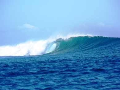 Muita onda, pouca gente!