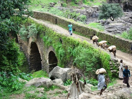 No caminho da cachoeira