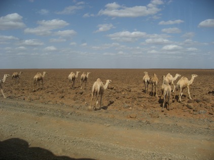 Deserto Dida Galgalu
