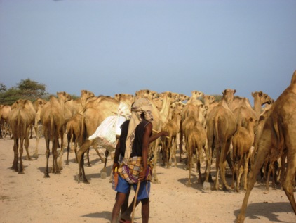Deserto entre Somalilandia e Djibouti