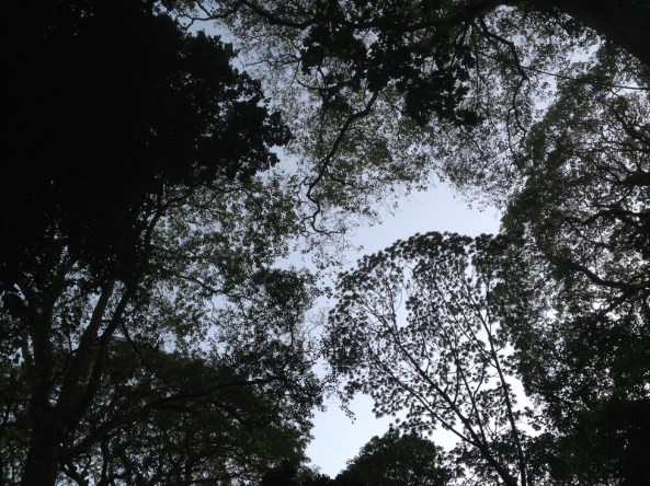 America_centra_2013l 406_resize