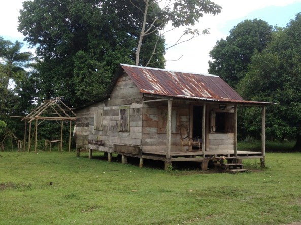 Habitação local das comunidades ribeirinhas