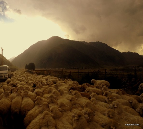 Congestionamento na chegada na Geórgia