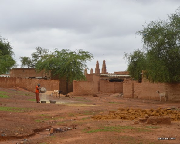 Mulher separando os grãos