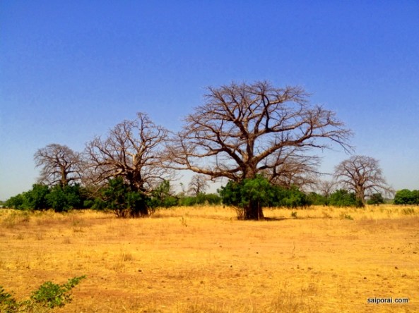 Paisagem entre os vilareijos