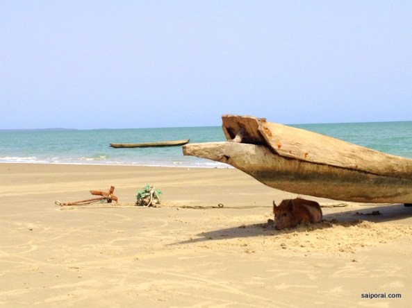 Todos buscando uma sombra